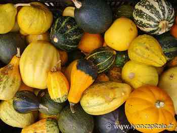 Lyon : une semaine pour comprendre l’importance d’une alimentation saine sur la santé - Lyon Capitale