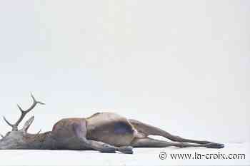 À Lyon, Éric Poitevin réveille les couleurs du musée - La Croix