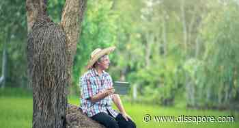 Arco Ionico: braccianti vittime di ricatti e molestie per lavorare nei campi - dissapore