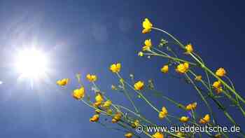 Wetter - Dresden - Sonniger und trockener Frühling in Sachsen - Panorama - Süddeutsche Zeitung - SZ.de