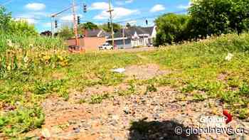 Advocates call for Fredericton trail project to be completed - Global News