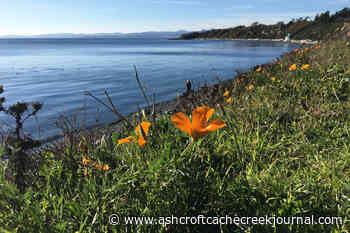 Victoria deemed a world-leading 'workation' destination: report – Ashcroft Cache Creek Journal - Ashcroft Cache Creek Journal