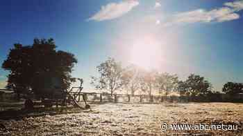 It's cold, rainy and windy in southern Queensland — but where is the frost?