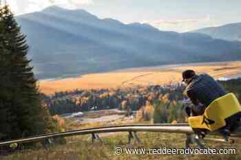 Red Deer’s Canyon Ski Resort gets Alberta’s first alpine coaster - Red Deer Advocate