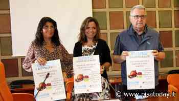 Gelato e buona alimentazione: ecco il progetto 'Scuola Amica' - PisaToday