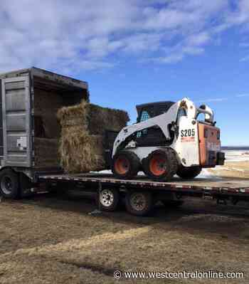 Haywest gets feed into farmers hands following drought - WestCentralOnline.com
