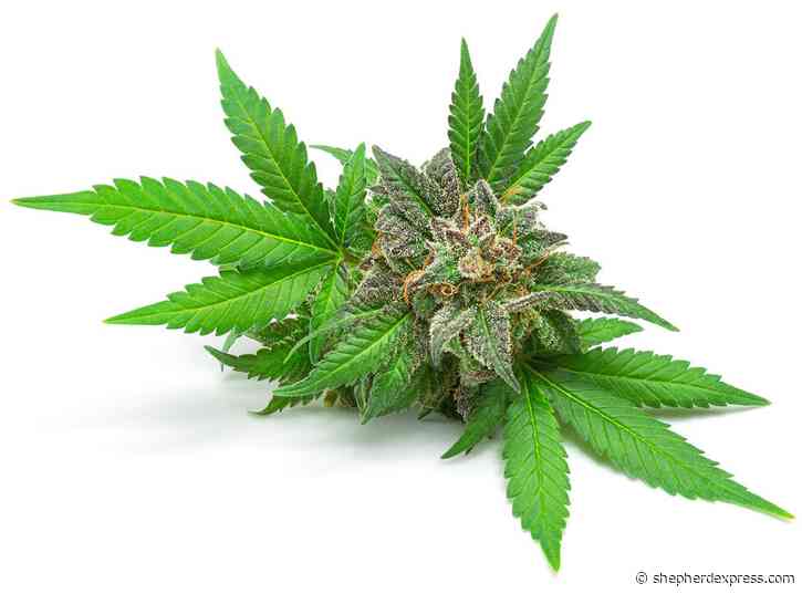 Rhode Island Legalizes Recreational Marijuana - Shepherd Express