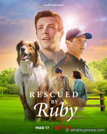 Rhode Island State Police K-9 that was featured in Netflix’s ‘Rescued by Ruby’ has been euthanized - What'sUpNewp