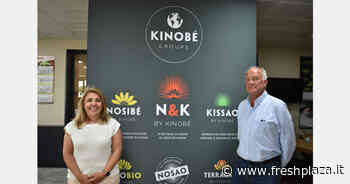 Noci di cocco: passaggio di scettro tra il "re" e la "regina" - Freshplaza.it