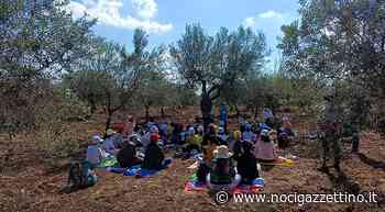 Merenda nell'Oliveta per i ragazzi degli Istituti Comprensivi di Noci - NOCI gazzettino