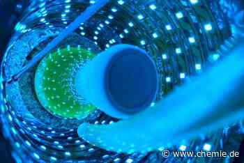 Neue lichtbetriebene Katalysatoren könnten bei der Produktion helfen