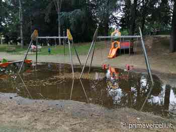 Parco Camana: "Guardate com'è conciato" - il video - Prima Vercelli