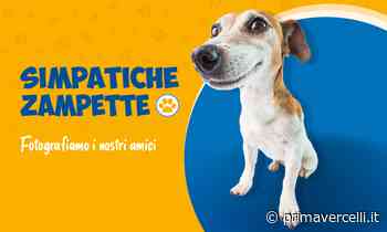 Fotografiamo i nostri amici animali - Prima Vercelli