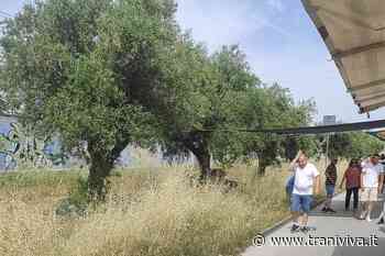 Rischio incendi nell'area mercatale di Trani, Casambulanti: «Si rischia la chiusura» - TraniViva