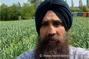 Cold weather, rain a growing concern for South Surrey farmers – North Delta Reporter - North Delta Reporter