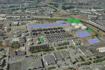 Morphine, methadone levels in Metro Vancouver wastewater Canada's highest - Delta Optimist