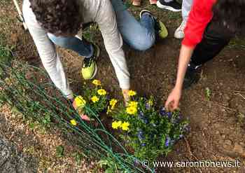 A Solaro un Giardino della Pace, con i colori ucraini nella sede dell'AggregaGiovani - SaronnoNews.it