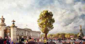 Queen's Platinum Jubilee: Huge 21-metre tall sculpture completed outside Buckingham Palace - My London