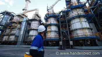 Förderkartell: Opec-Länder erwägen offenbar Ausschluss Russlands aus Ölfördervereinbarung