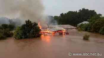 Insurance bill from NSW and Queensland floods tops $4 billion