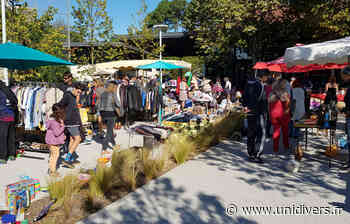 Vide grenier du Rotary Soorts-Hossegor Soorts-Hossegor - Unidivers