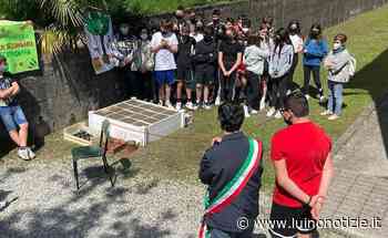 "Green School", inaugurato un orto scolastico alle scuole medie di Germignaga - Luino Notizie