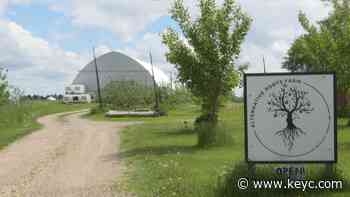 Consumer farmers impacted by late Spring weather - KEYC