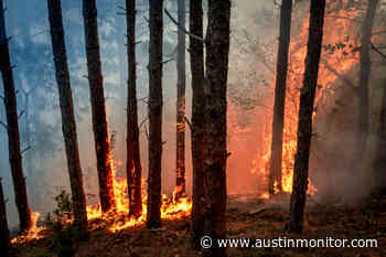 City highlights resilience measures during Wildfire Awareness Month - Austin Monitor