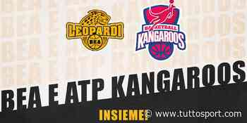 BEA Chieri, nasce la partnership con ATP Kangaroos! - Tuttosport
