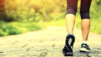 A Chieri la Festa dei camminatori: stand e camminate dimostrative - TorinoToday