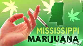 Mississippi medical marijuana card applications open June 1st - WLOX