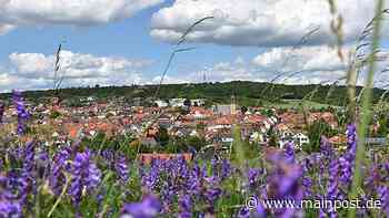 Helmstadt feiert seine erste urkundliche Erwähnung vor 1250 Jahren - Main-Post