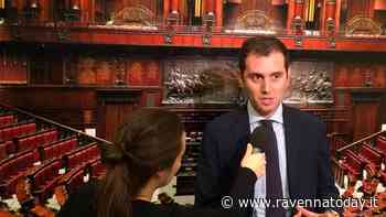 Peste suina e cinghiali, Marco Di Maio: "Allarme anche in Romagna, agire in fretta anche con piani di abbattimento" - RavennaToday