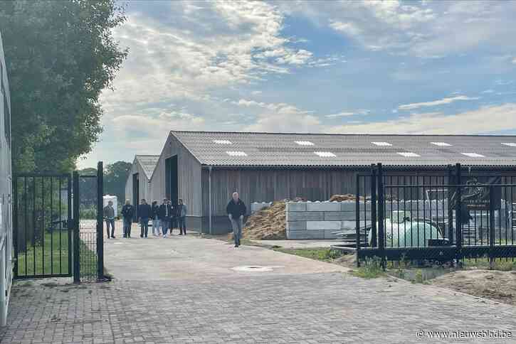 Inval met honderd man bij manege: grote fraude met paardenvlees en gekruiste ‘zezels’ aangetroffen