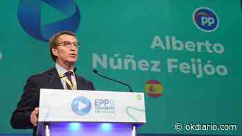 Feijóo ante el PP europeo sobre Sánchez: «Los españoles han dicho ¡basta!, es preciso cambiar» - Okdiario
