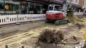 Sanierung in Cloppenburg: Darum werden Bäume an der Mühlenstraße gefällt - Nordwest-Zeitung