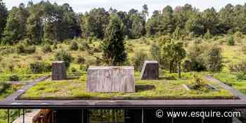 Queste mini case con prato incluso costano niente, e ti cambiano la vita per sempre - Esquire Italia