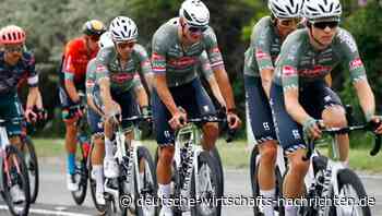 Erfolgreich im Sattel: Alpecin "er-radelt" sich ausländische Märkte