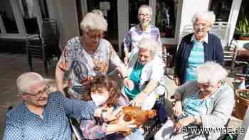 Tierische Mitbewohner: Hühner im Altenzentrum Essen-Karnap - WAZ News