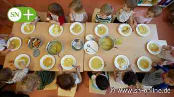 Essen an Grundschulen und Kitas in Stadthagen passgenau bestellen - Schaumburger Nachrichten