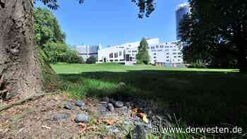 Essen: Stadt führt drastisches Verbot ein – DAS kann teuer werden - DER WESTEN
