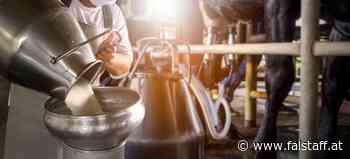 Weltmilchtag: Kauf von Milchprodukten in Österreich wieder leicht rückläufig