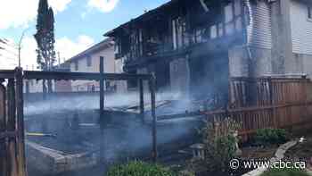 Firefighter and resident hospitalized, pet dies after Tuesday morning fire at Mountain home