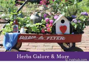 Herbs Galore & More returns to Maymont with over 60 vendors Saturday, April 30th - RVAHub