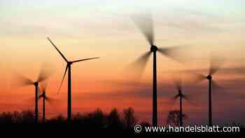 Bonds: Starke Nachfrage nach grüner Bundesanleihe