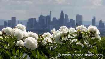 Landesbank: Helaba holt ihre Privatbank-Tochter von Zürich nach Frankfurt