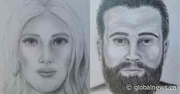 Sketches of 2 suspects in N.B. assault, attempted abduction released by police