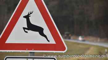 Achtung Wildwechsel: Auto bei Holzheim überschlägt sich