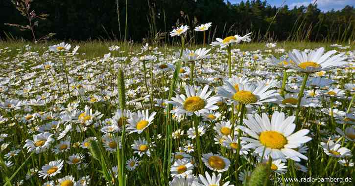 Zu Pfingsten steigen die Temperaturen – Gefahr von Unwettern