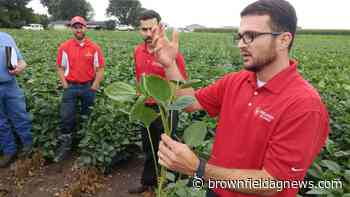 Researchers test new herbicides, sprayer technology - Brownfield Ag News